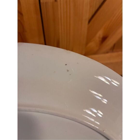 Homer Laughlin Eggshell Nautilus Platter Platinum striped - Picture 8 of 12